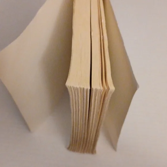 $4 Add-on "Secret Daughter" by Shilpi Somaya Gowda - Paperback Novel - Picture 8 of 8